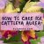 How to Care for Cattleya Aurea