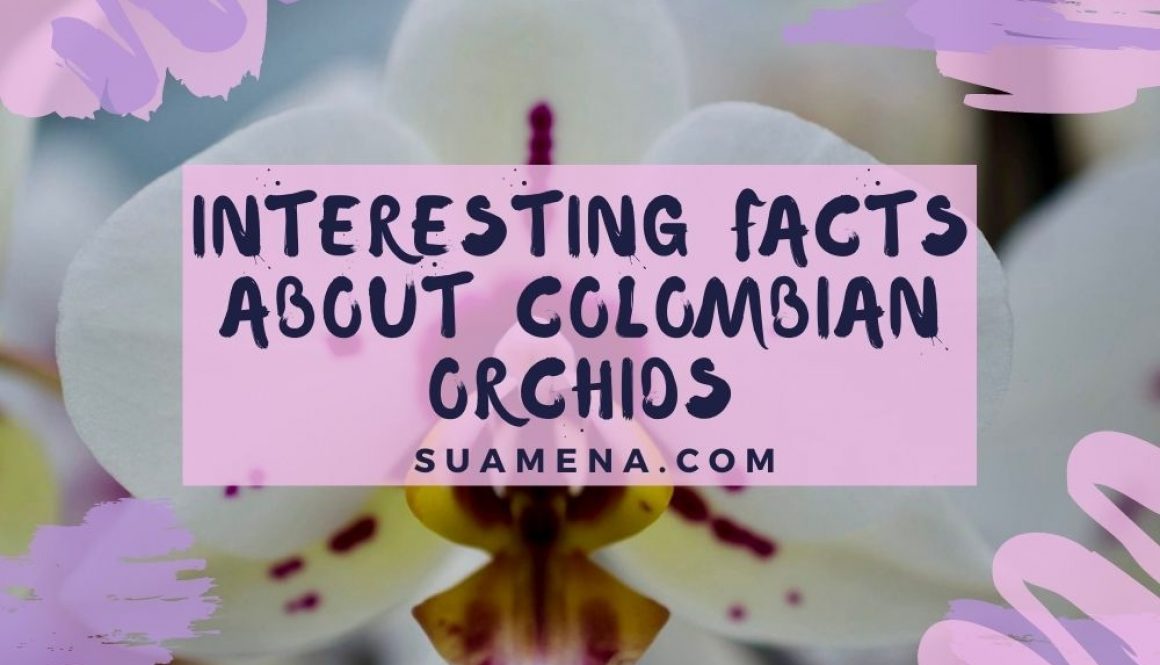 Interesting facts about Colombian orchids