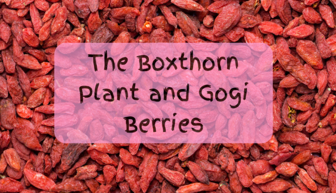 gogi berry title bg